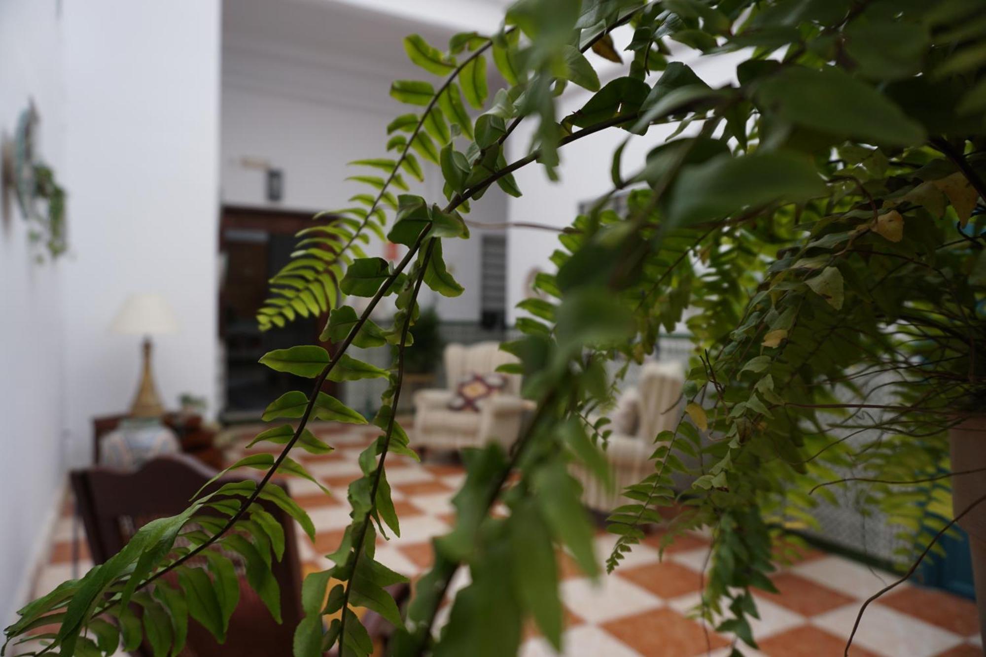 Montserrat Casa Del Mar Chipiona Εξωτερικό φωτογραφία