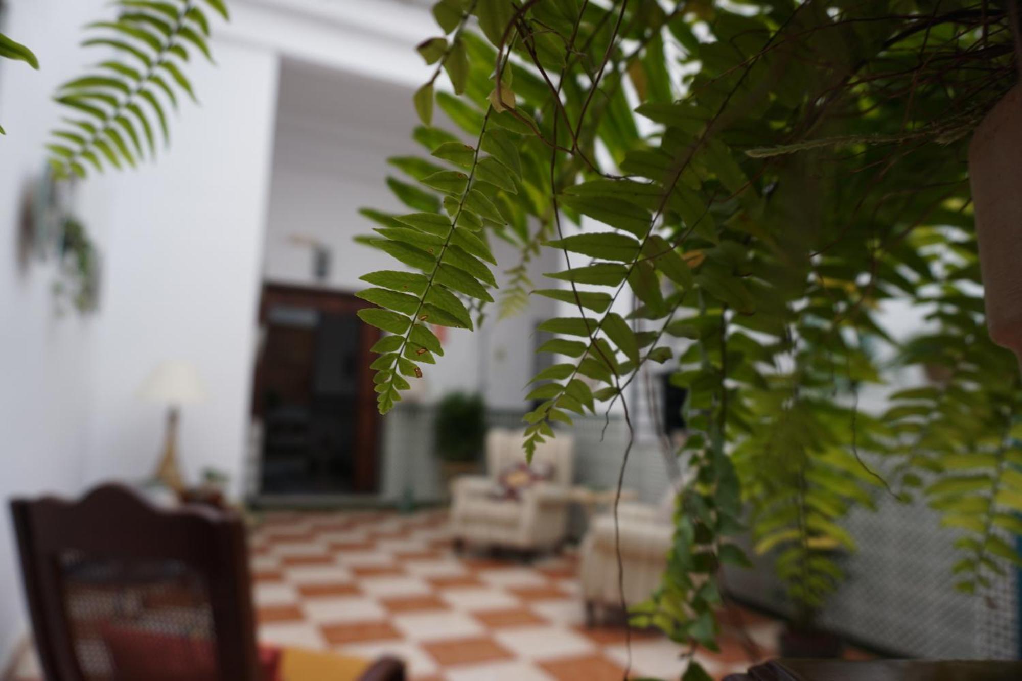 Montserrat Casa Del Mar Chipiona Εξωτερικό φωτογραφία