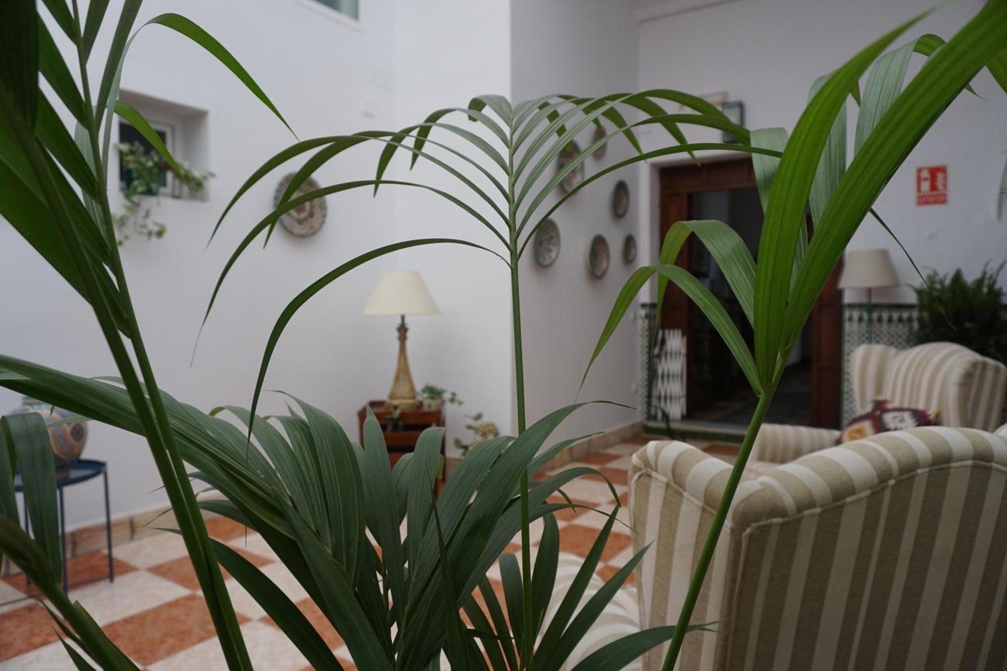 Montserrat Casa Del Mar Chipiona Εξωτερικό φωτογραφία